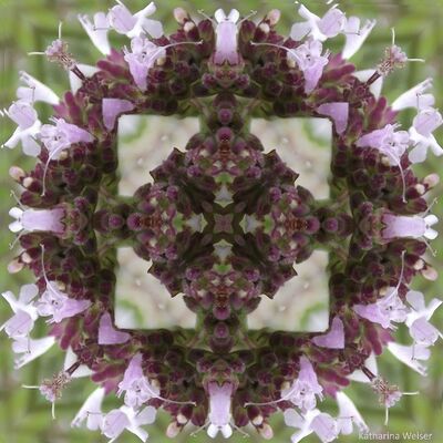 Bild vergrößern: Foto von einem abstrakten, geometrischen Muster in Lila- und Grüntönen