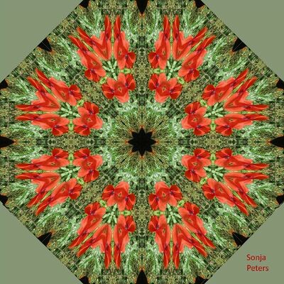 Bild vergrößern: Foto von einem abstrakten, geometrischen Muster in Rot- und Grüntönen